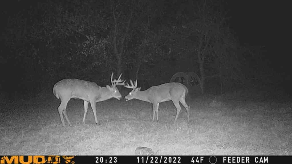 741 N Meridian Rd, Belle Plaine, Kansas image 36