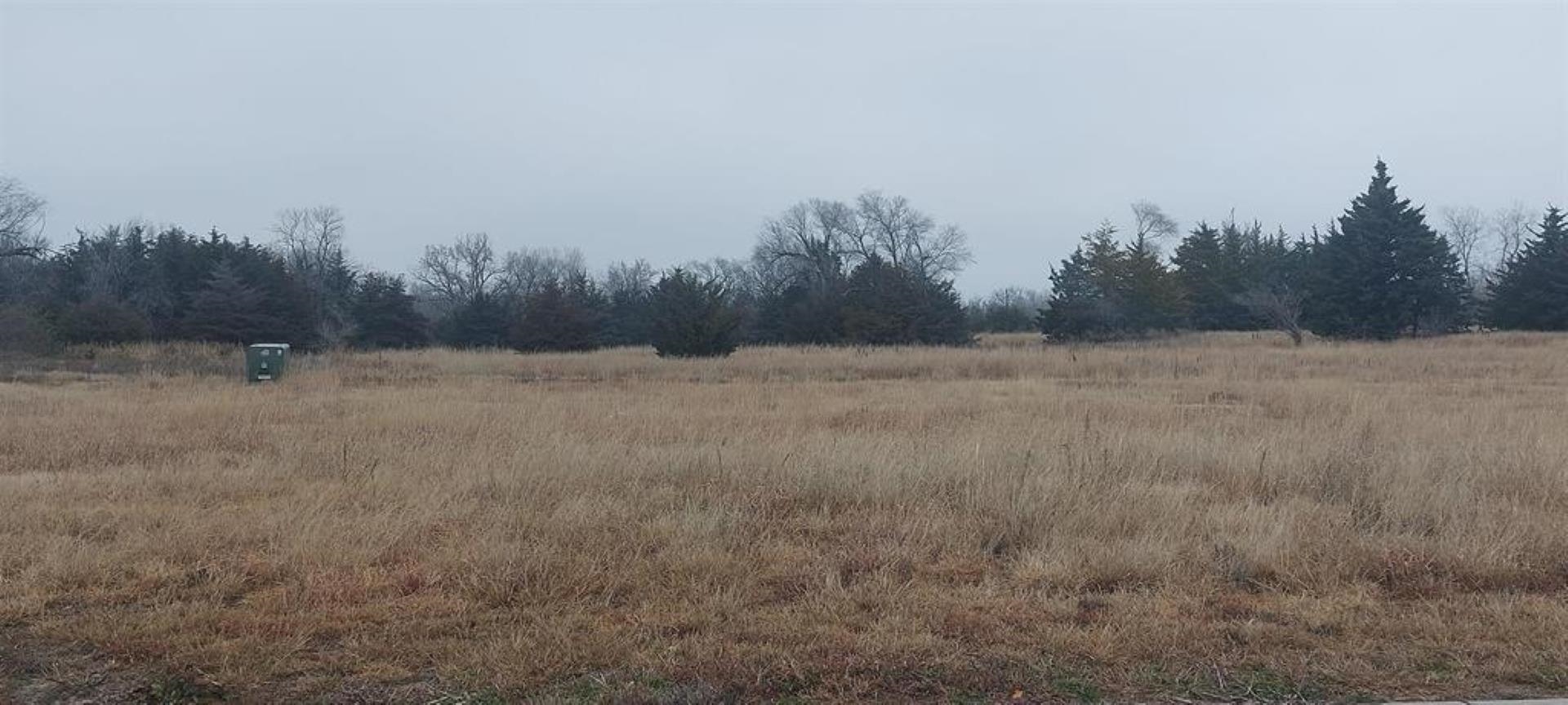 12 Monarch Ln, Hutchinson, Kansas image 1
