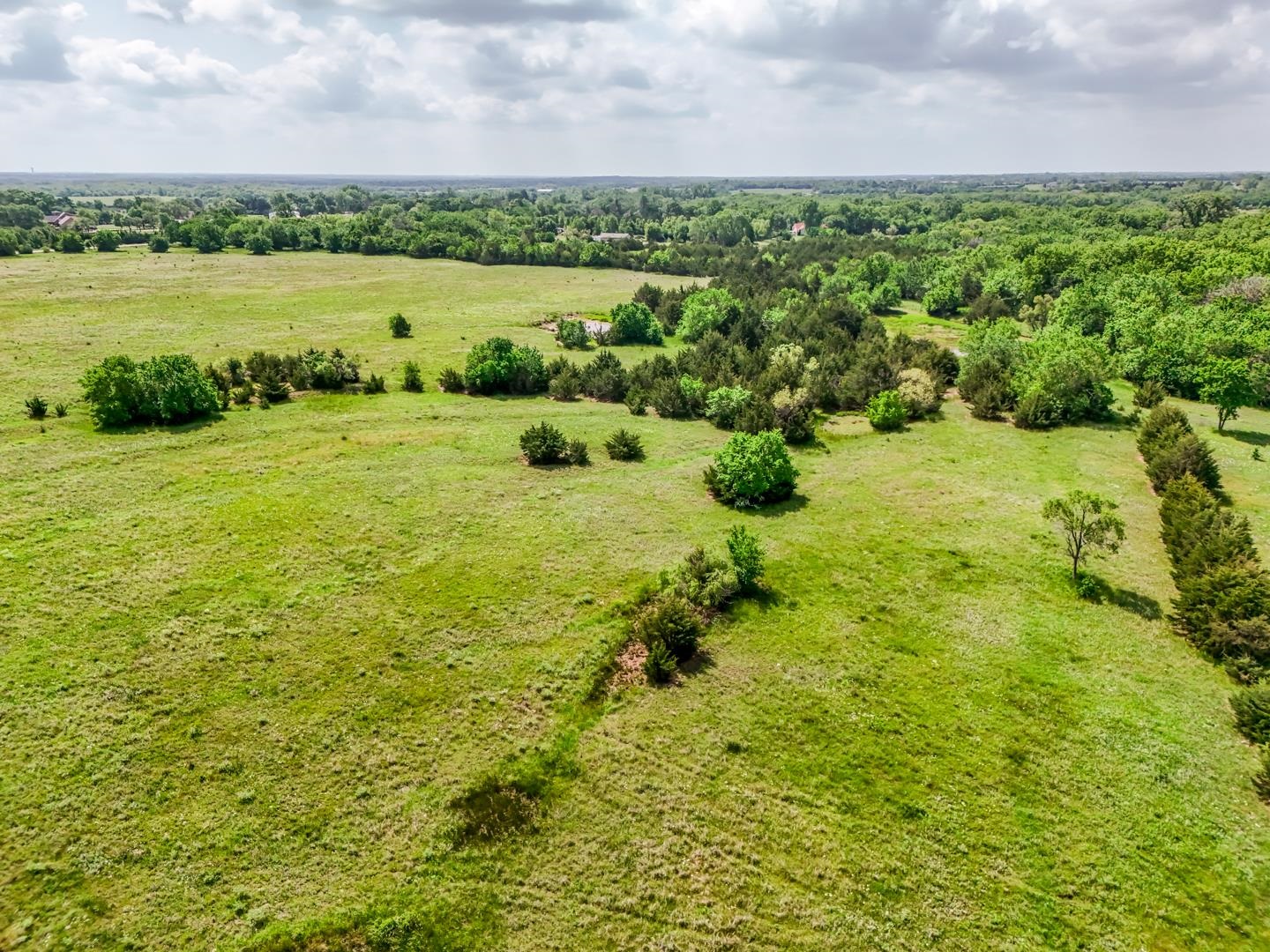 40+/- Acres On SW 40th St, Towanda, Kansas image 13
