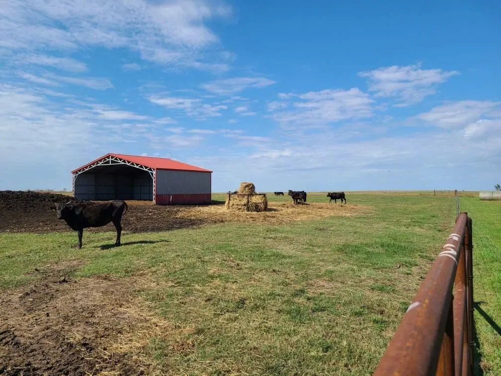 Latham, Kansas 67072, United States, 5 Bedrooms Bedrooms, ,Residential,Active,226250