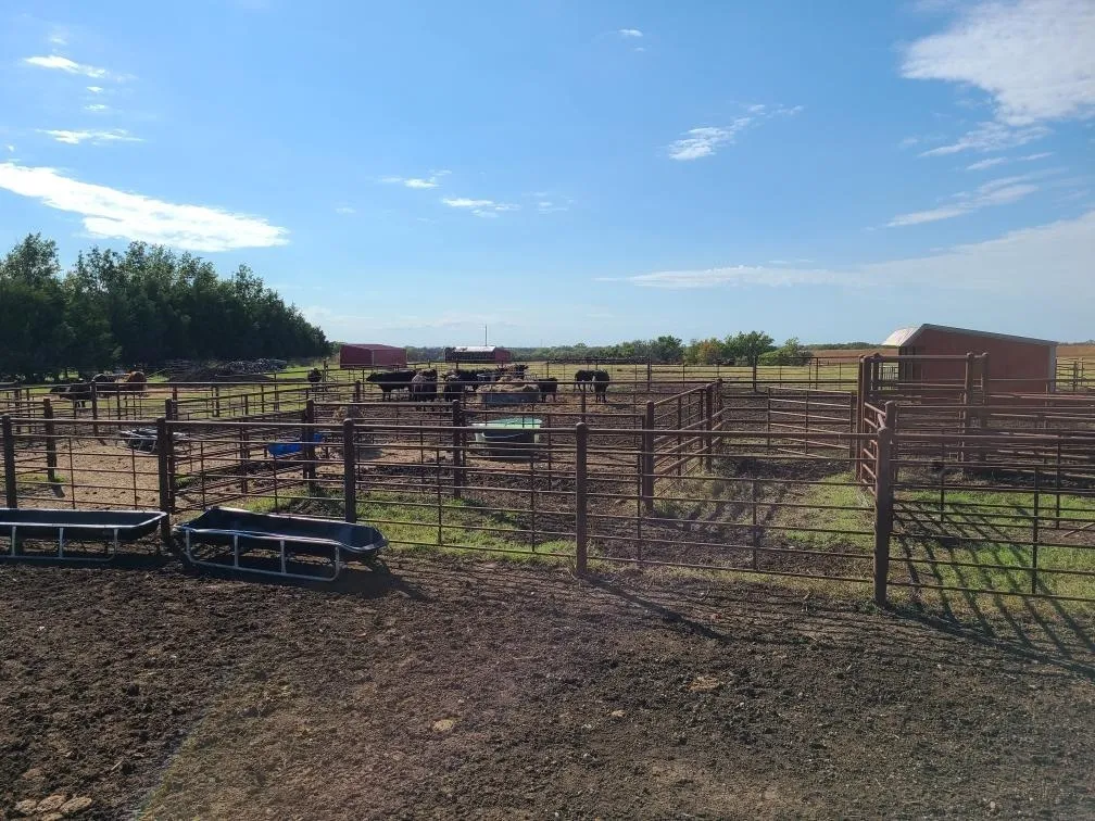 Latham, Kansas 67072, United States, 5 Bedrooms Bedrooms, ,Residential,Active,226250