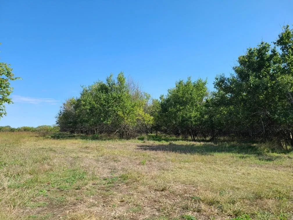 Latham, Kansas 67072, United States, 5 Bedrooms Bedrooms, ,Residential,Active,226250