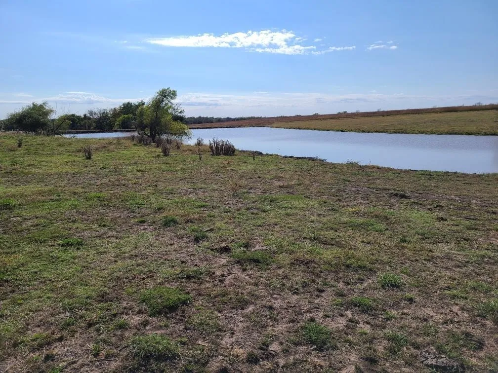 Latham, Kansas 67072, United States, 5 Bedrooms Bedrooms, ,Residential,Active,226250