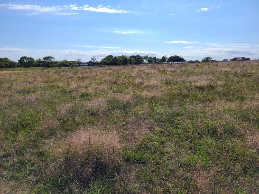 Latham, Kansas 67072, United States, 5 Bedrooms Bedrooms, ,Residential,Active,226250