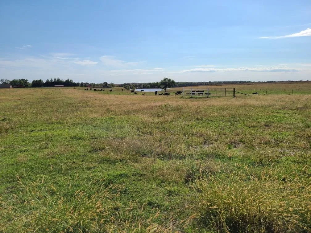 Latham, Kansas 67072, United States, 5 Bedrooms Bedrooms, ,Residential,Active,226250