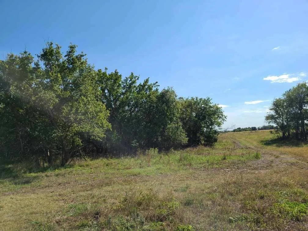 Latham, Kansas 67072, United States, 5 Bedrooms Bedrooms, ,Residential,Active,226250