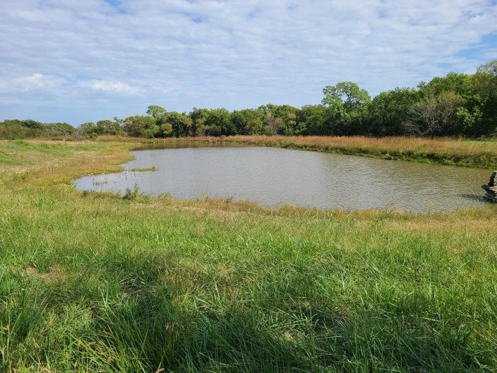 Latham, Kansas 67072, United States, 5 Bedrooms Bedrooms, ,Residential,Active,226250