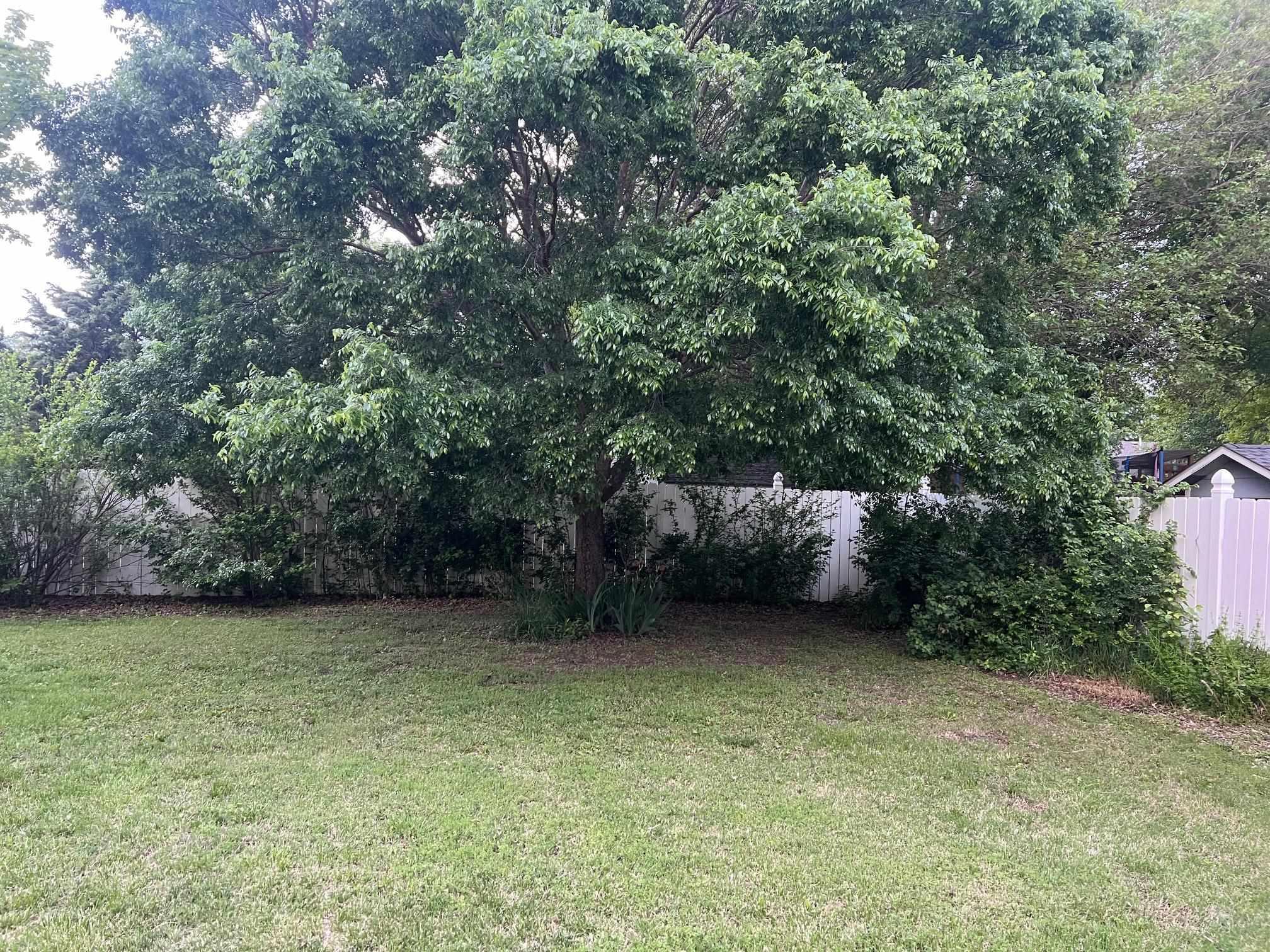 11514 W Bella Vista, Wichita, Kansas image 3