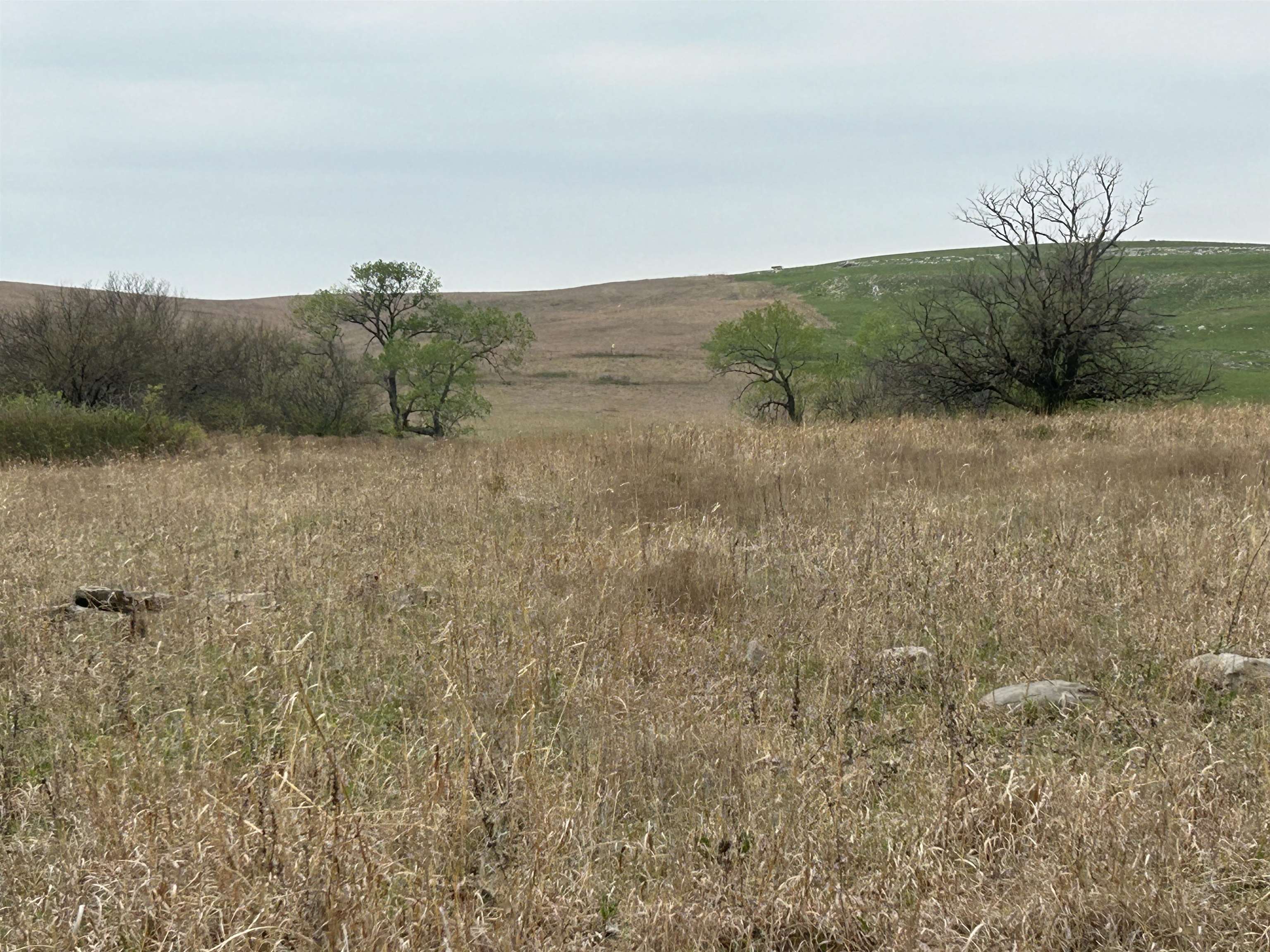 SE Cattle Pen Rd, Rosalia, Kansas image 7