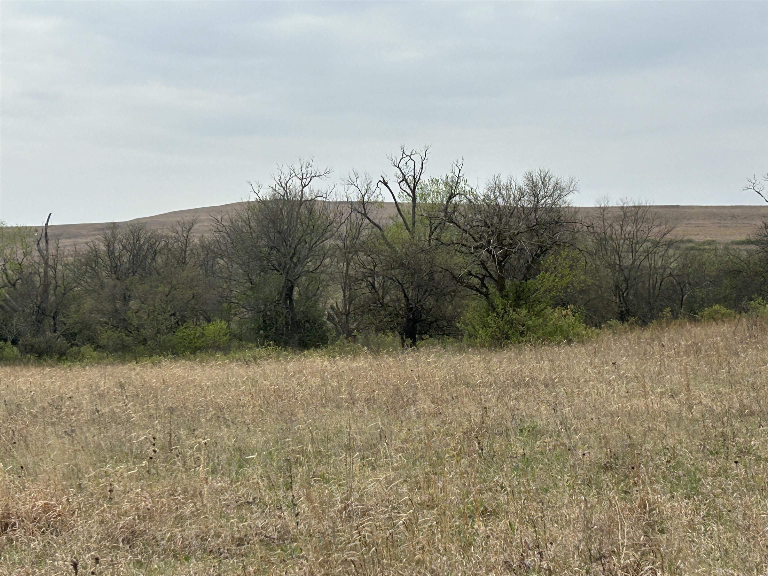 SE Cattle Pen Rd, Rosalia, Kansas image 9