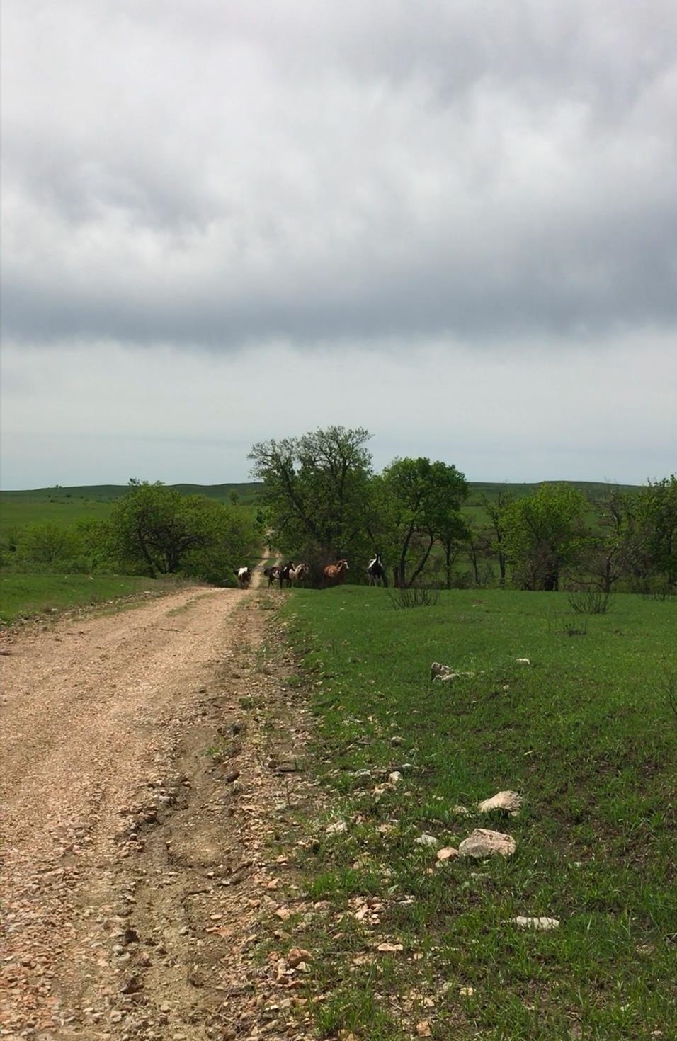 SE Cattle Pen Rd, Rosalia, Kansas image 29