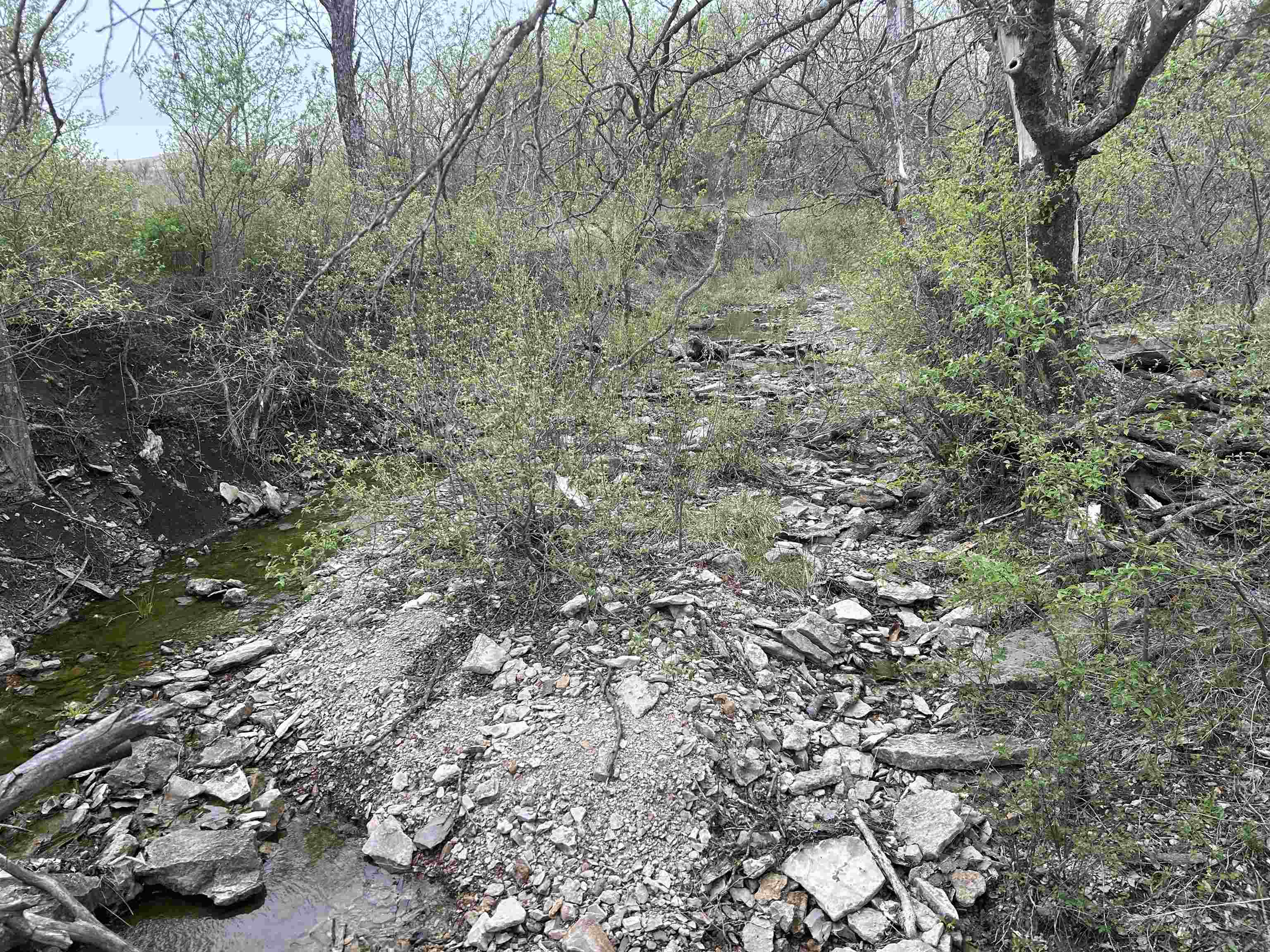 SE Cattle Pen Rd, Rosalia, Kansas image 5