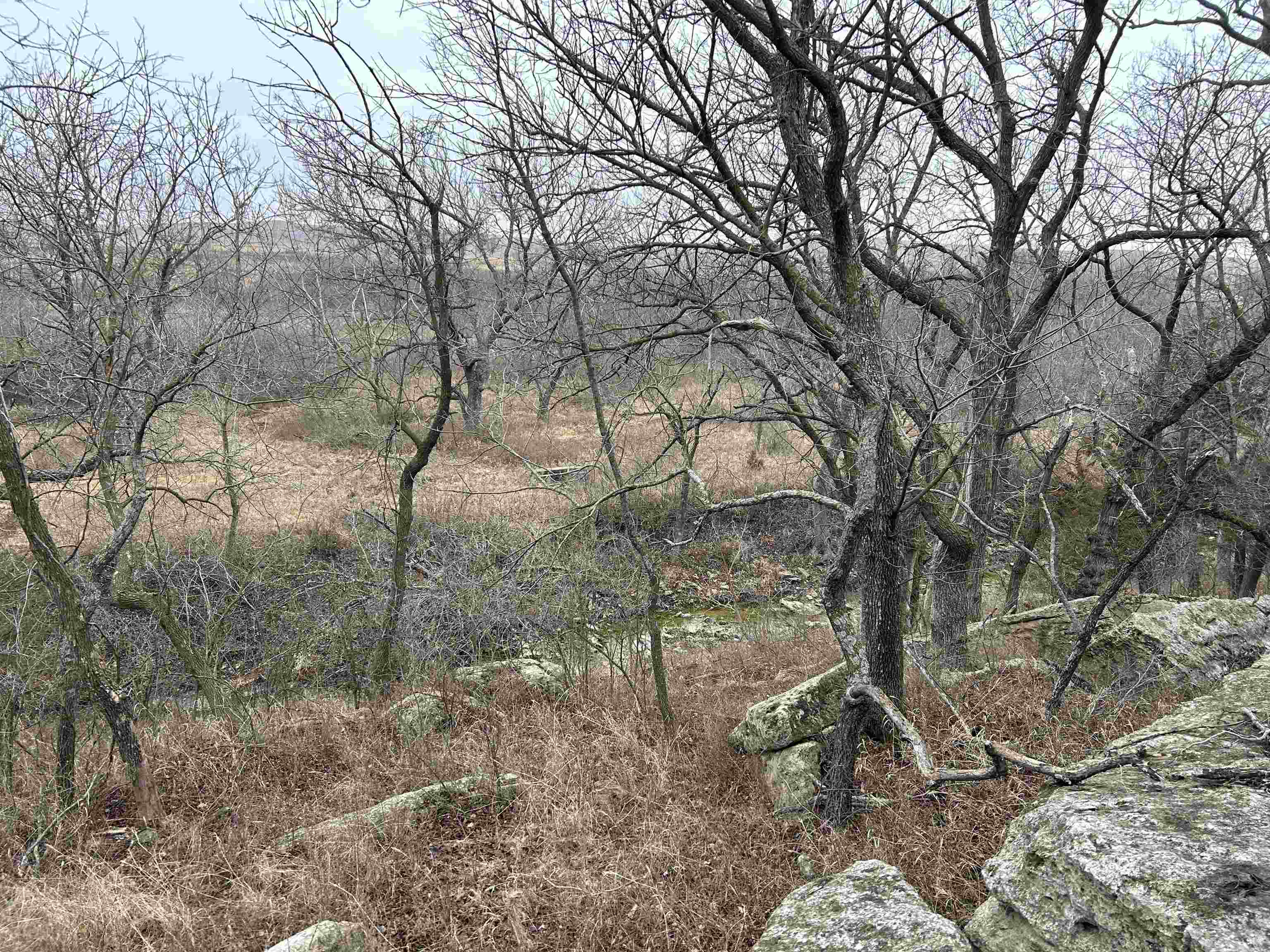 SE Cattle Pen Rd, Rosalia, Kansas image 9