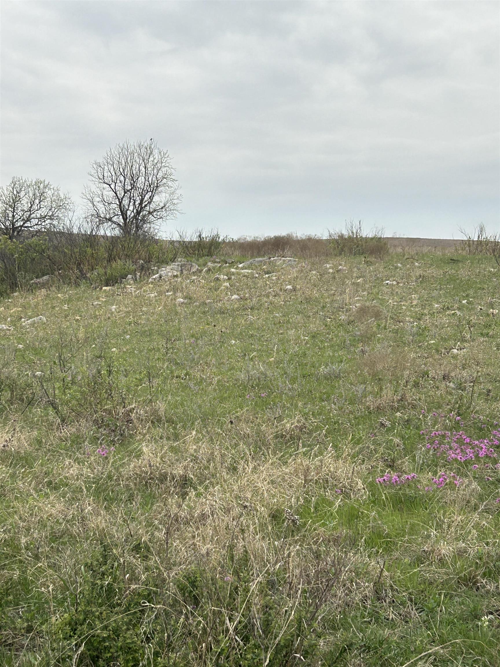 SE Cattle Pen Rd, Rosalia, Kansas image 12