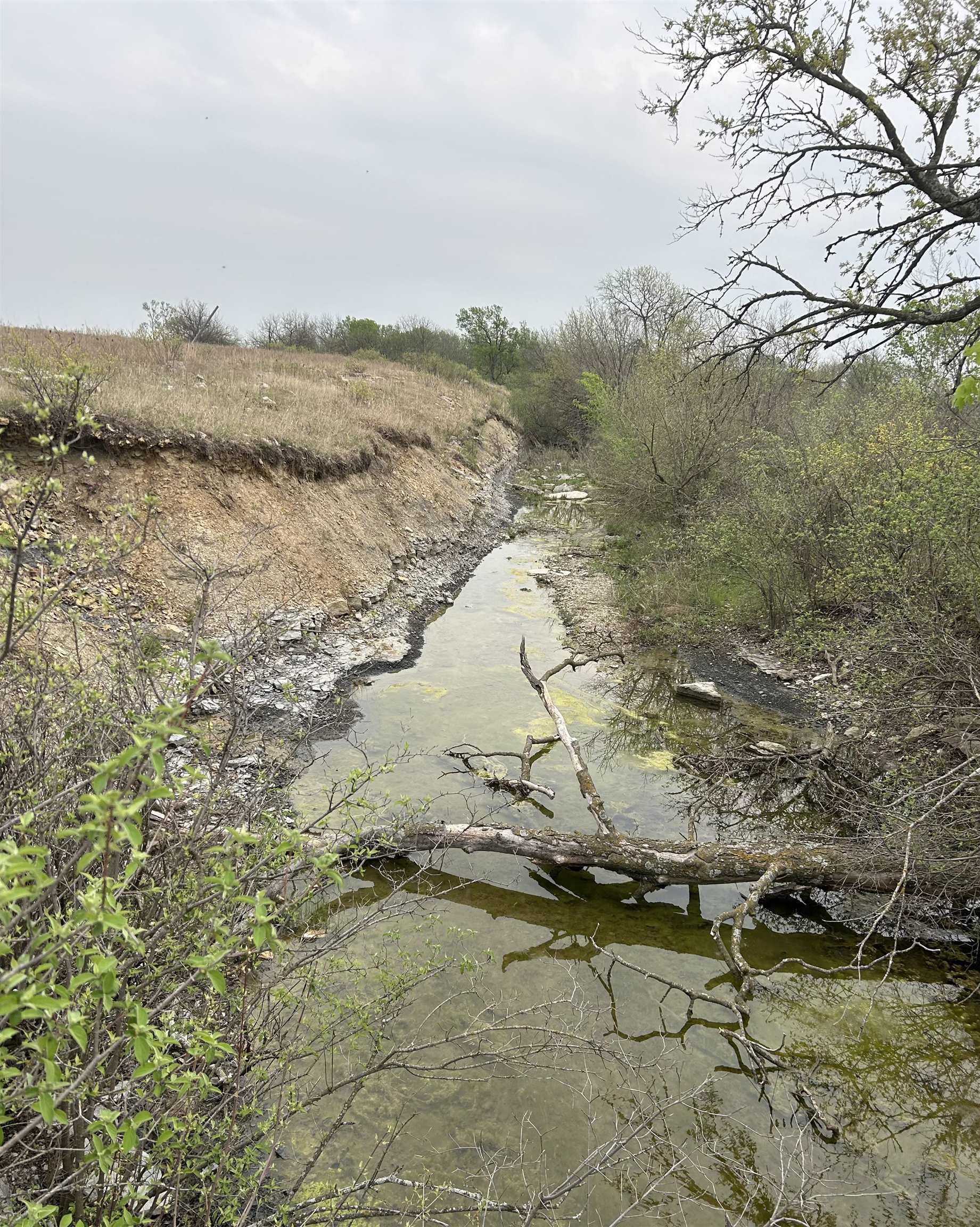 SE Cattle Pen Rd, Rosalia, Kansas image 4