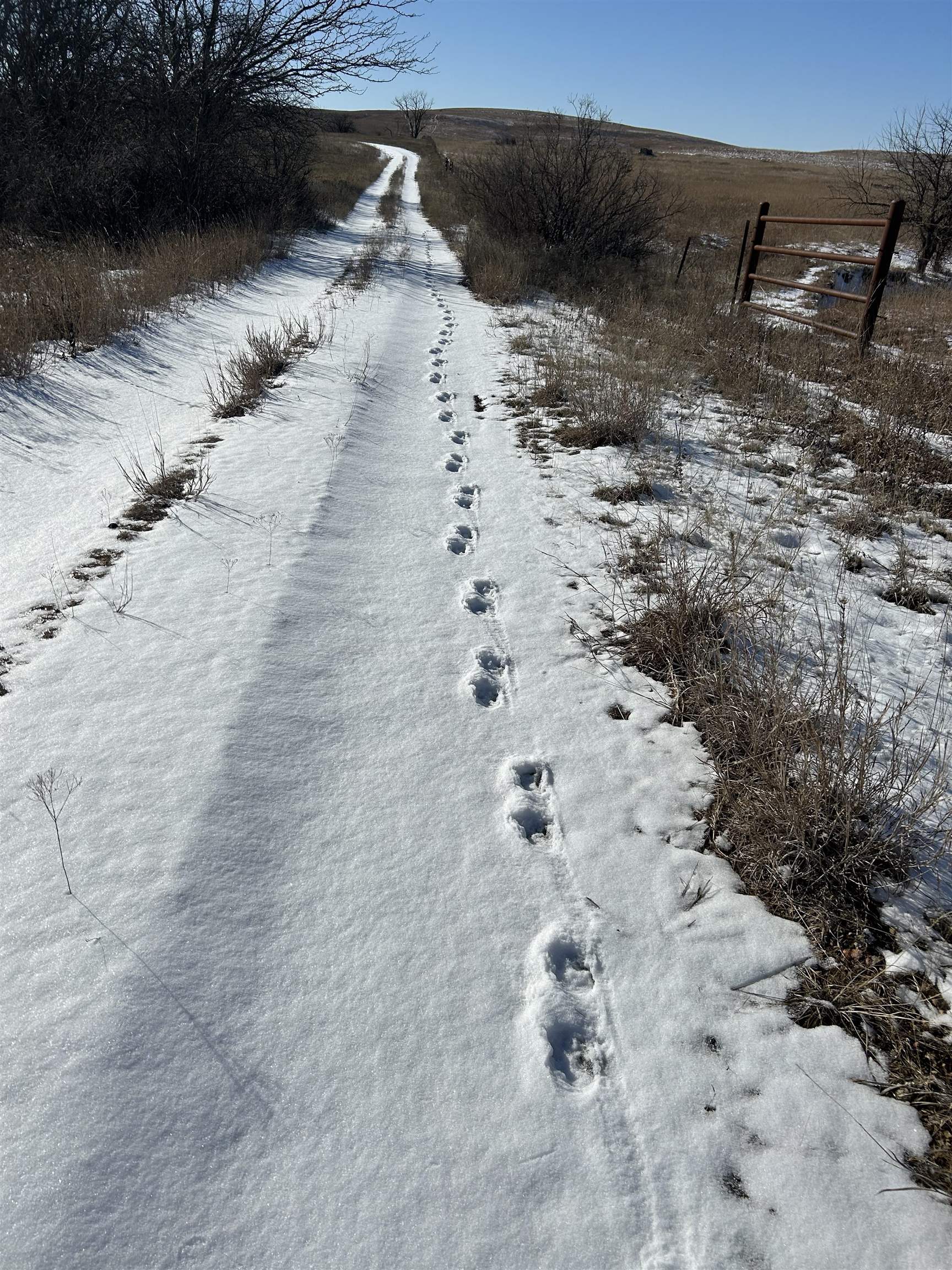 SE Cattle Pen Rd, Rosalia, Kansas image 18