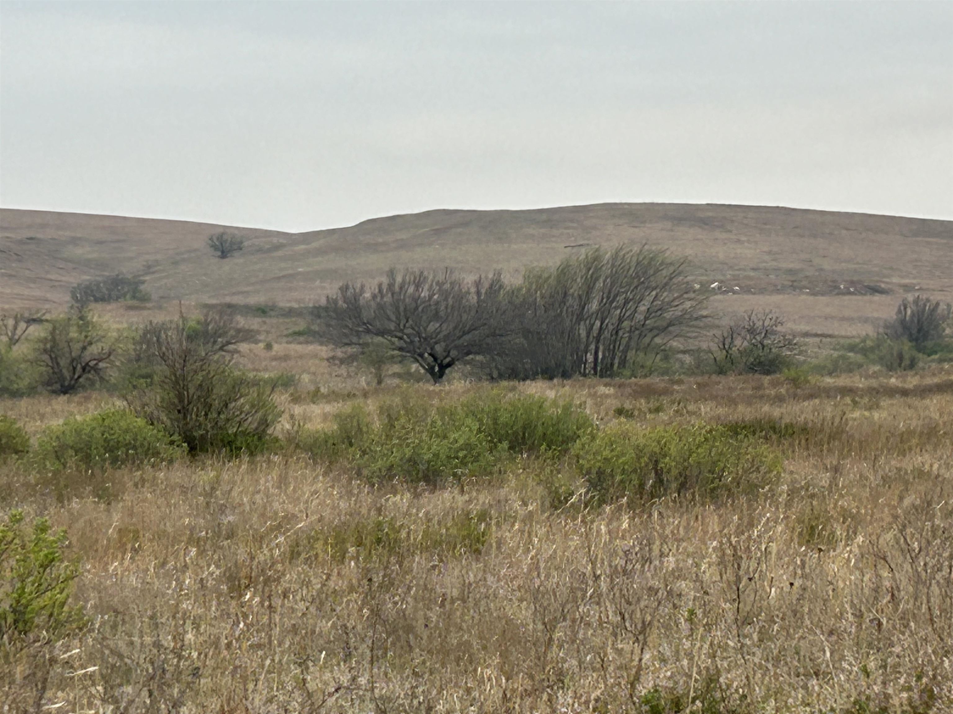 SE Cattle Pen Rd, Rosalia, Kansas image 11