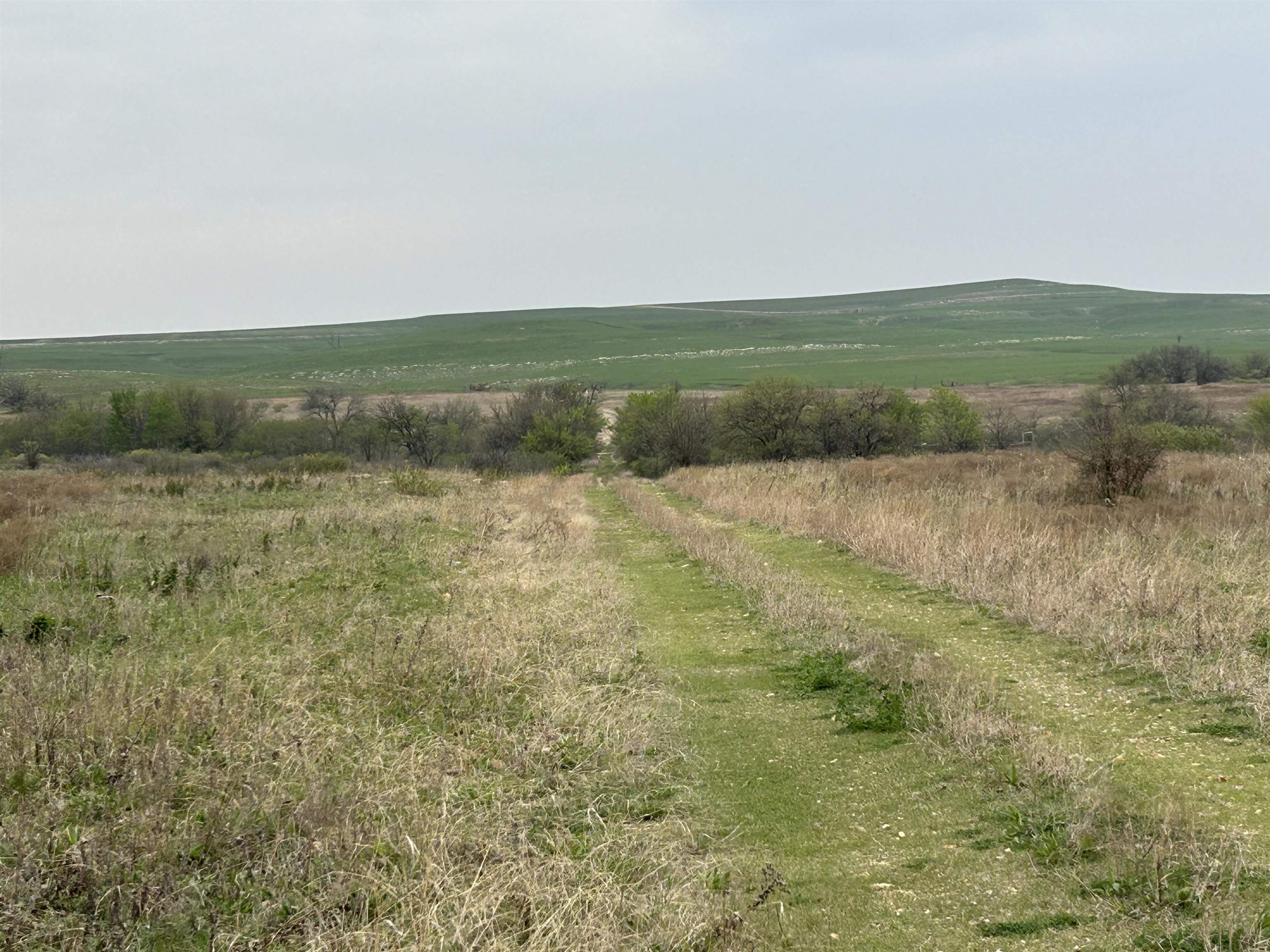 SE Cattle Pen Rd, Rosalia, Kansas image 6
