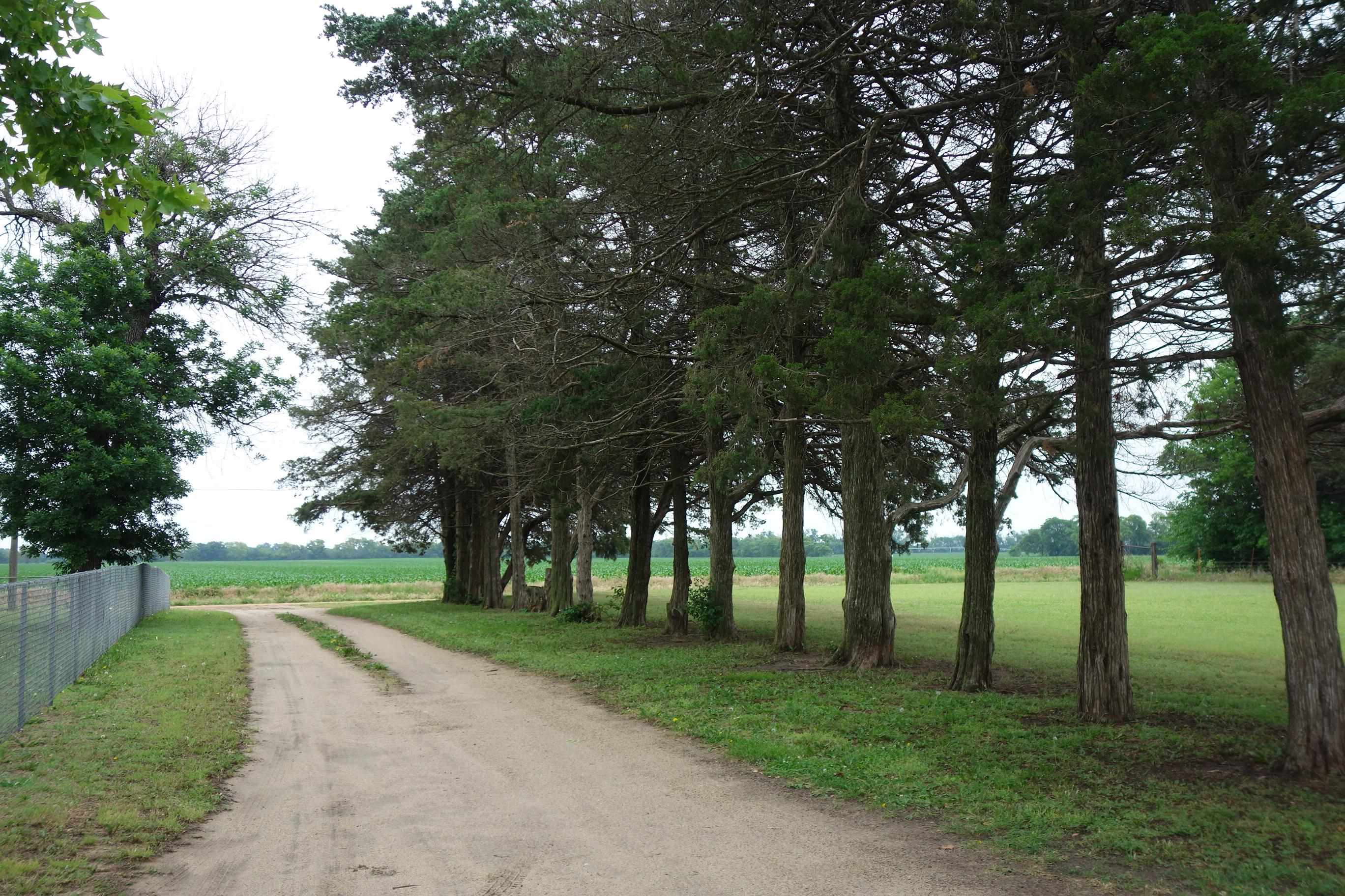 1457 N Meridian Rd, Peck, Kansas image 35