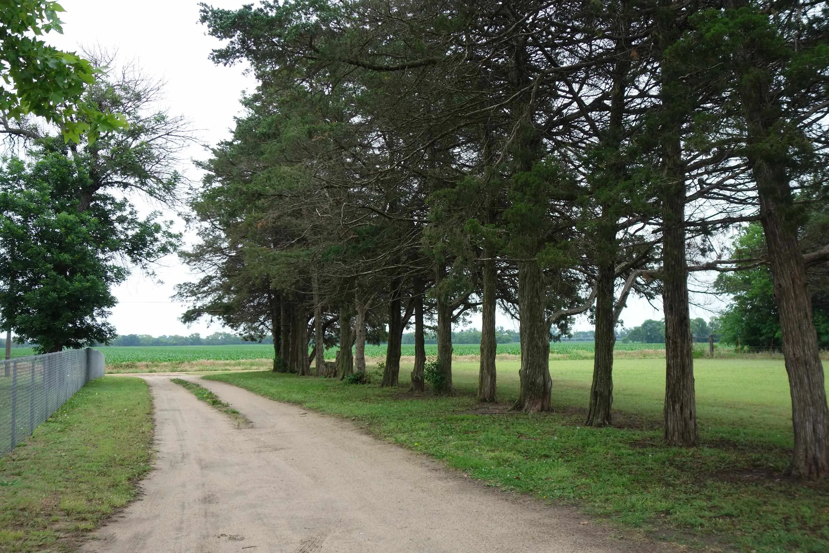 Peck, Kansas 67120, United States, 2 Bedrooms Bedrooms, ,2 BathroomsBathrooms,Residential,Pending,138505