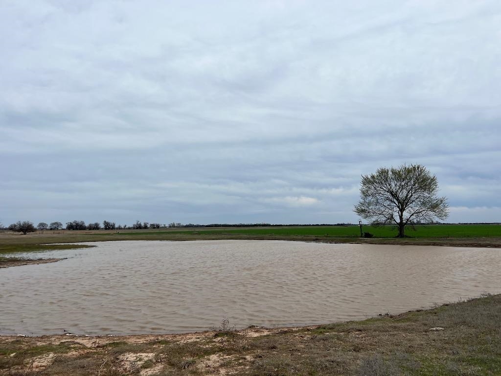 379 N Blackstone Rd, Argonia, Kansas image 33