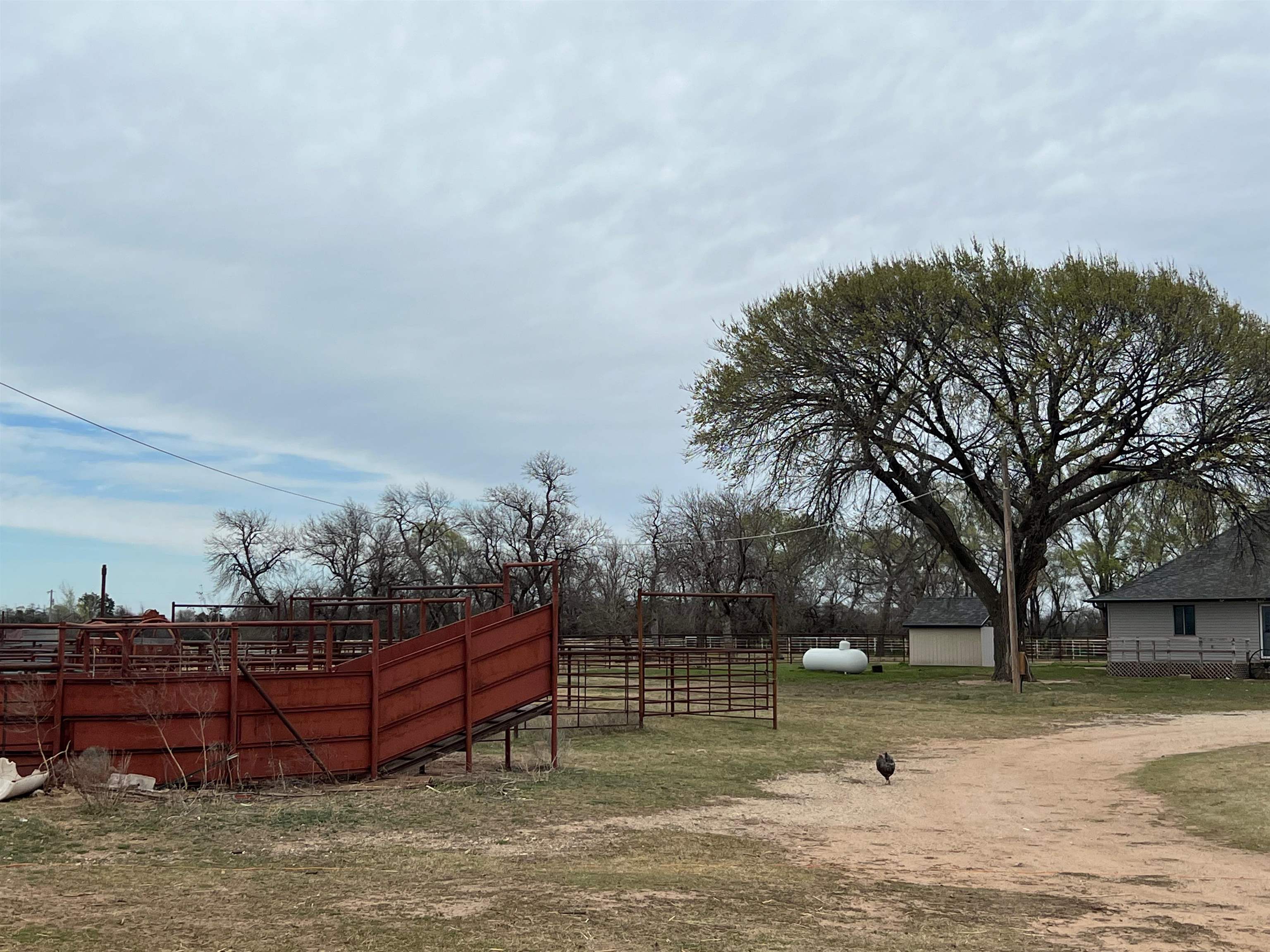 379 N Blackstone Rd, Argonia, Kansas image 24