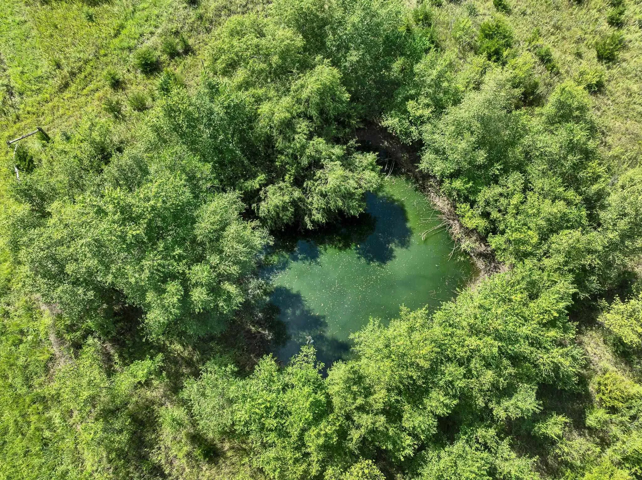 Towanda, Kansas 67144, United States, 6 Bedrooms Bedrooms, ,4 BathroomsBathrooms,Residential,Active,181914