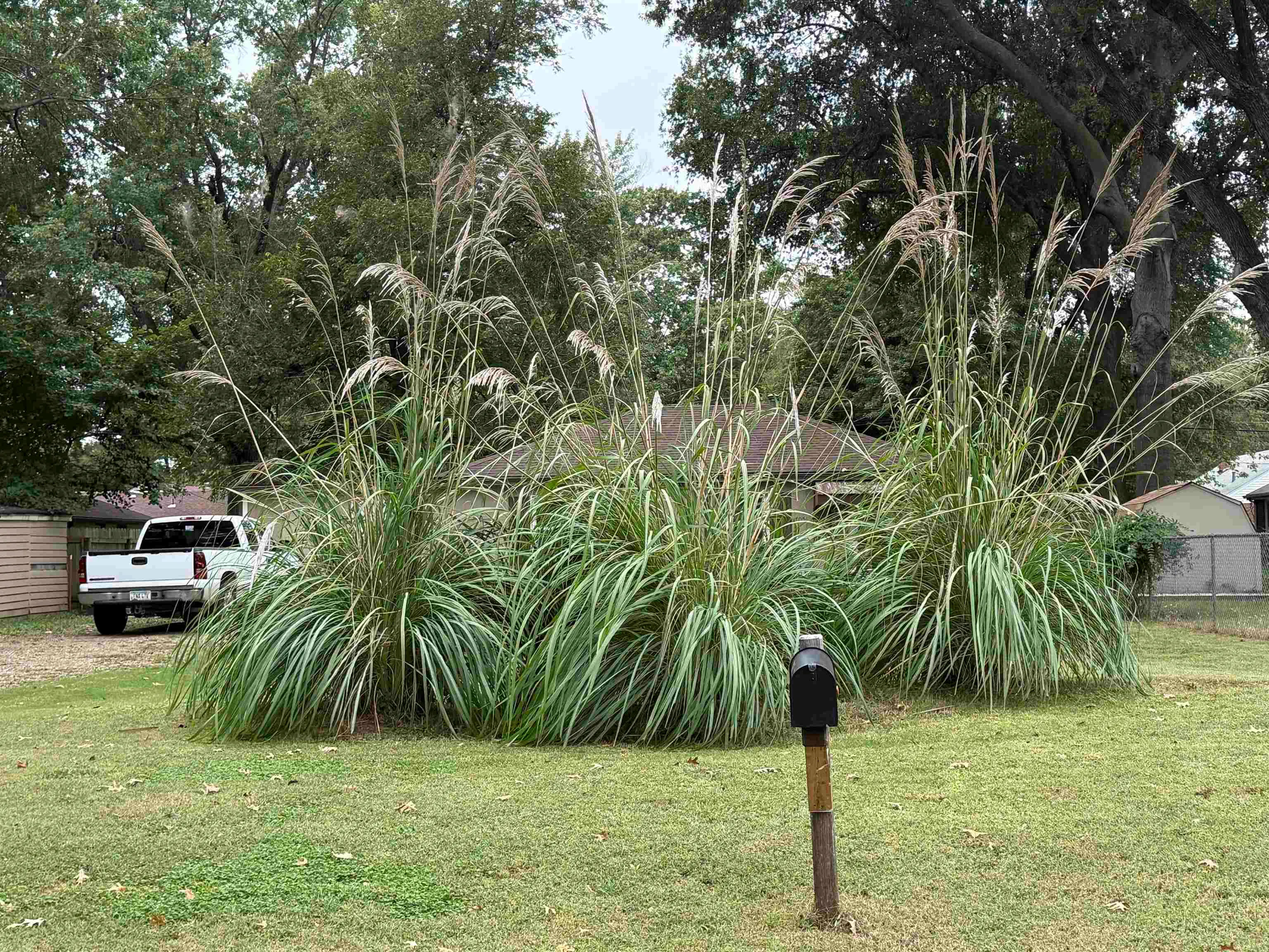 Winfield, Kansas 67156, United States, 1 Bedroom Bedrooms, ,1 BathroomBathrooms,Residential,Active,224709