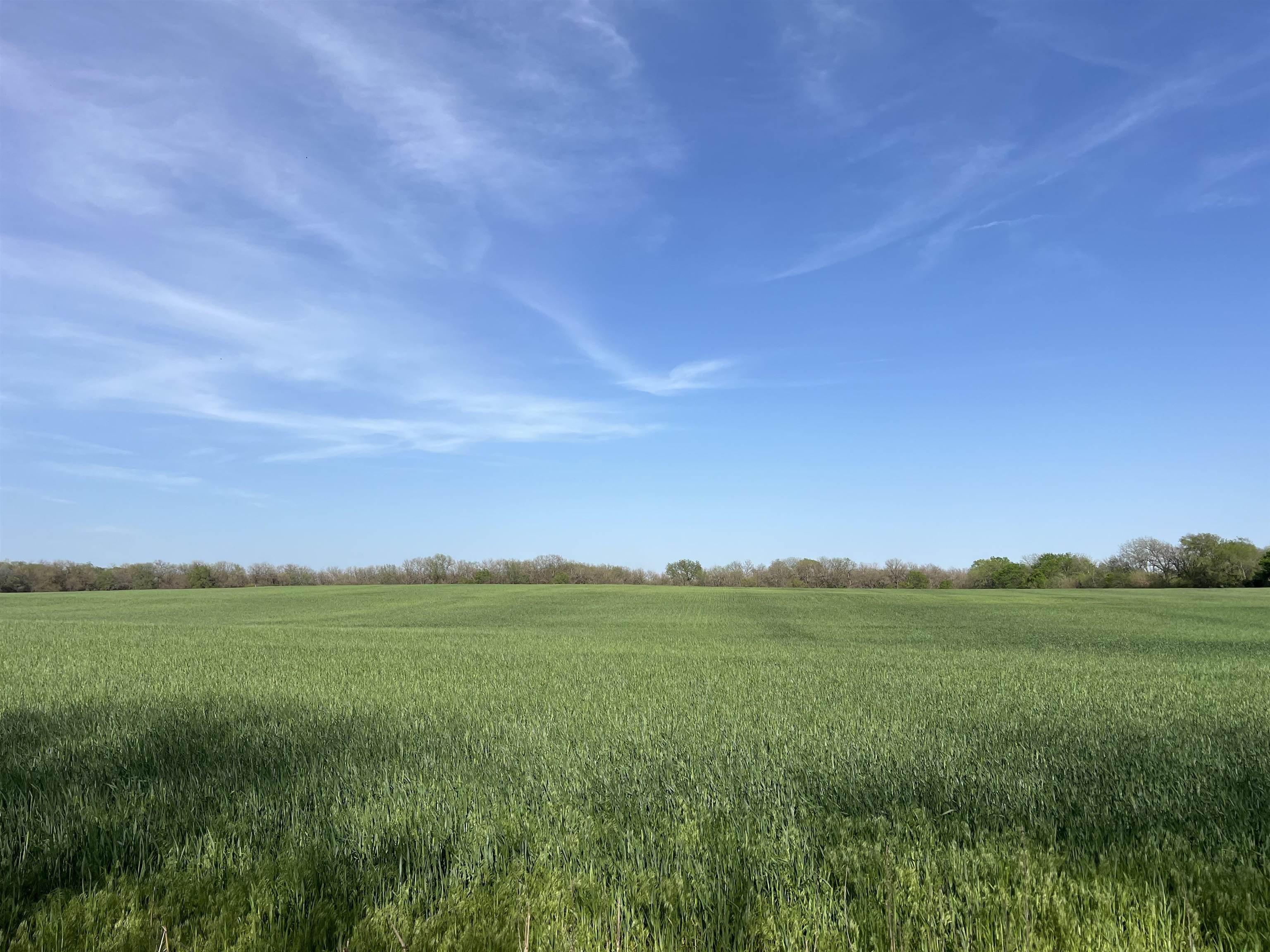 000 River Road, Mulvane, Kansas image 3