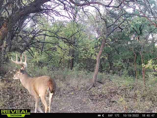 000 River Road, Mulvane, Kansas image 10