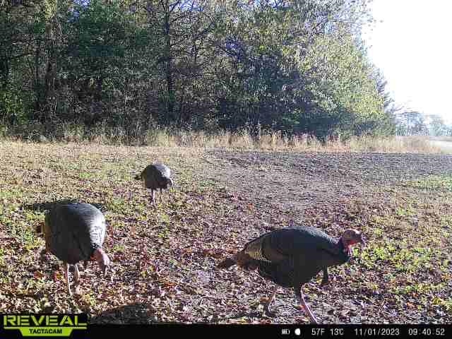 000 River Road, Mulvane, Kansas image 7