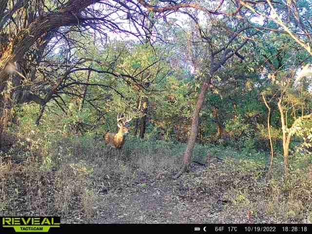 000 River Road, Mulvane, Kansas image 9