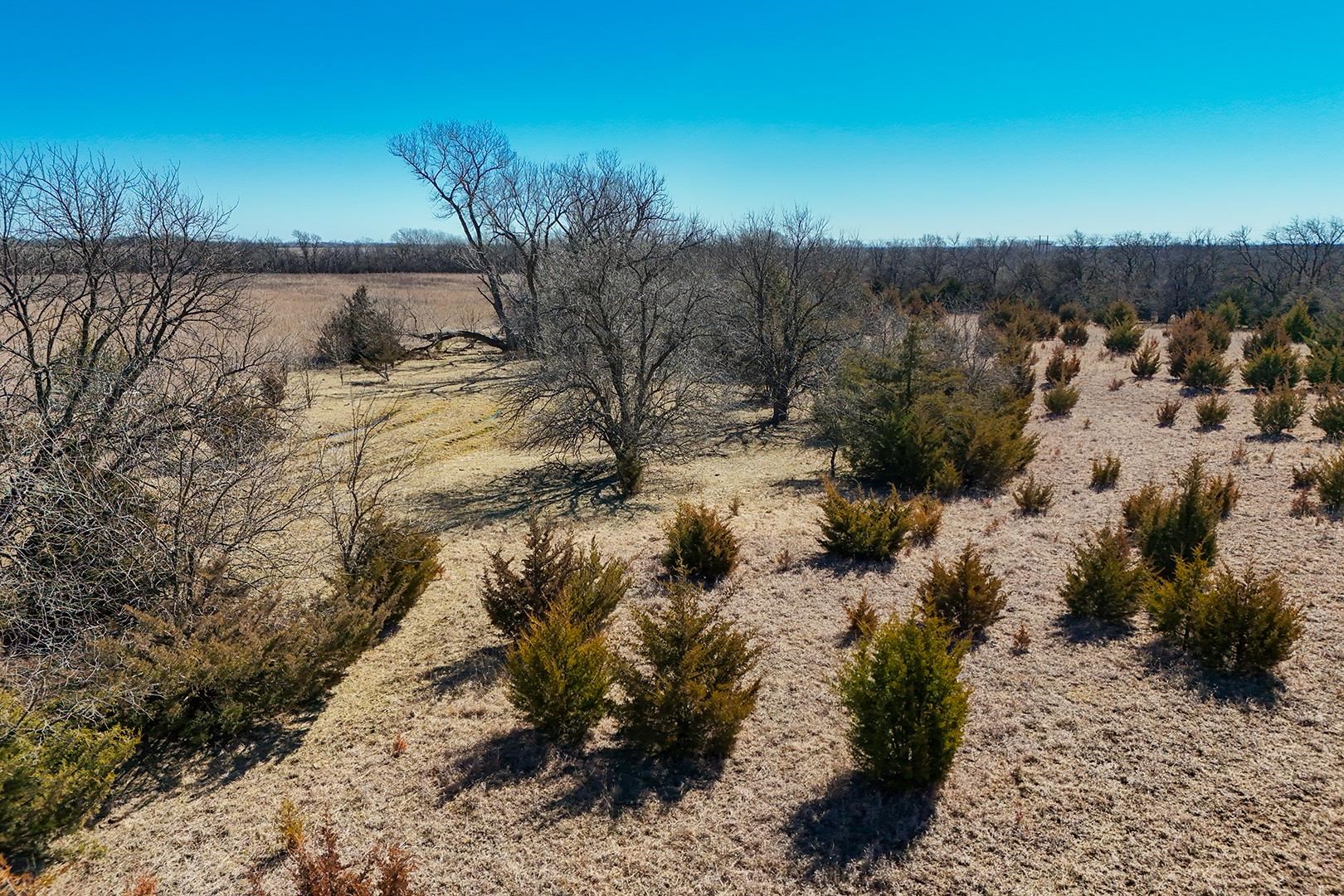 152.41+/- Acres 100th St, Walton, Kansas image 34