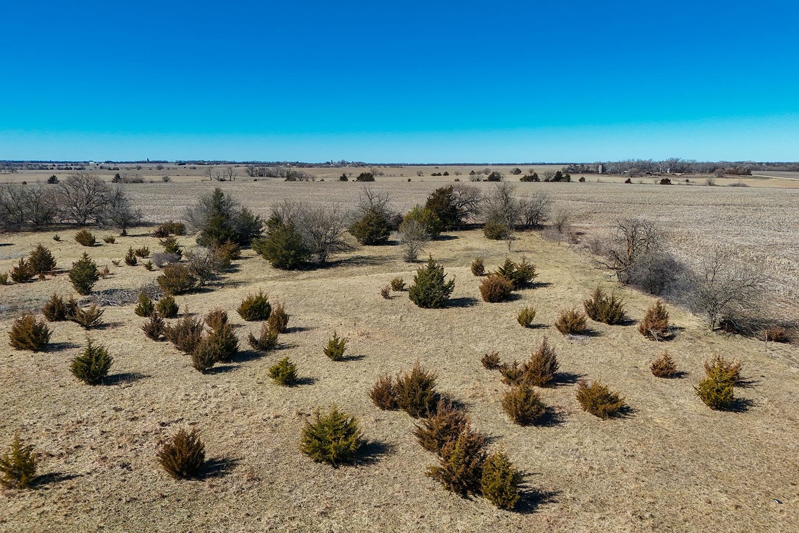 152.41+/- Acres 100th St, Walton, Kansas image 23