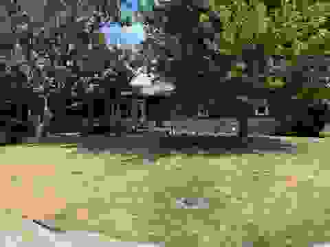 Slider Thumb