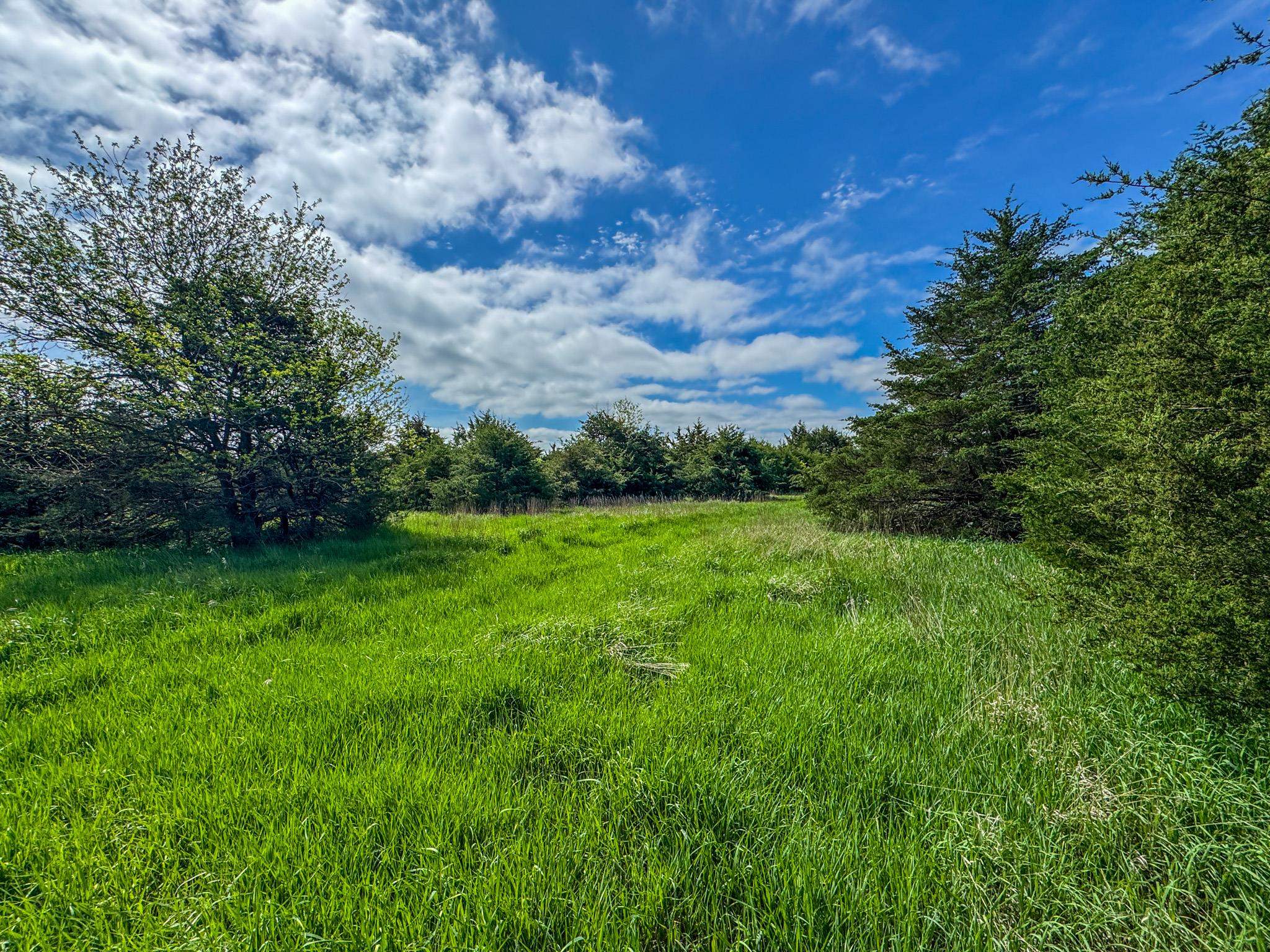 7802 S Harvest Hill Rd, Whitewater, Kansas image 20