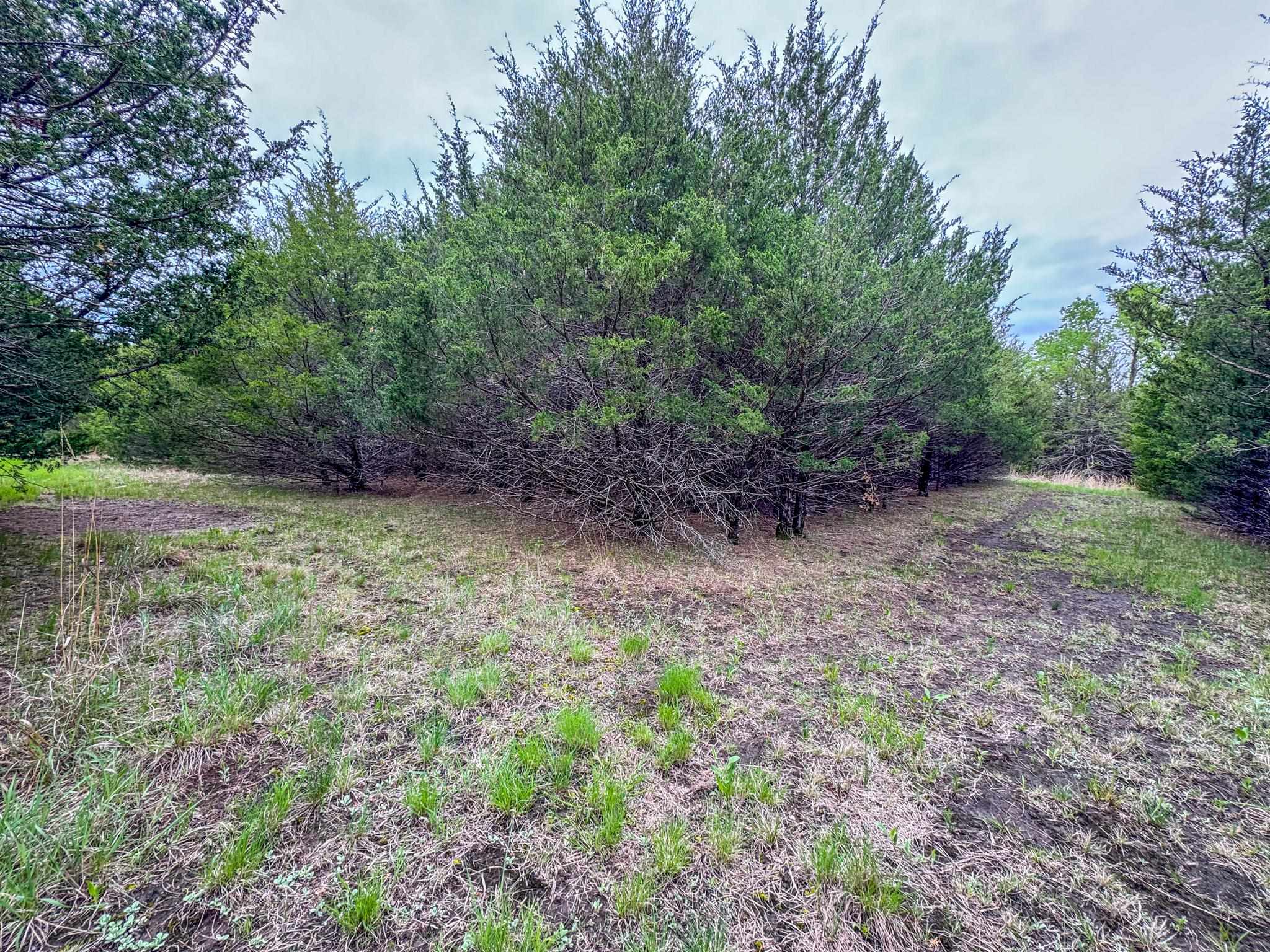 7802 S Harvest Hill Rd, Whitewater, Kansas image 18