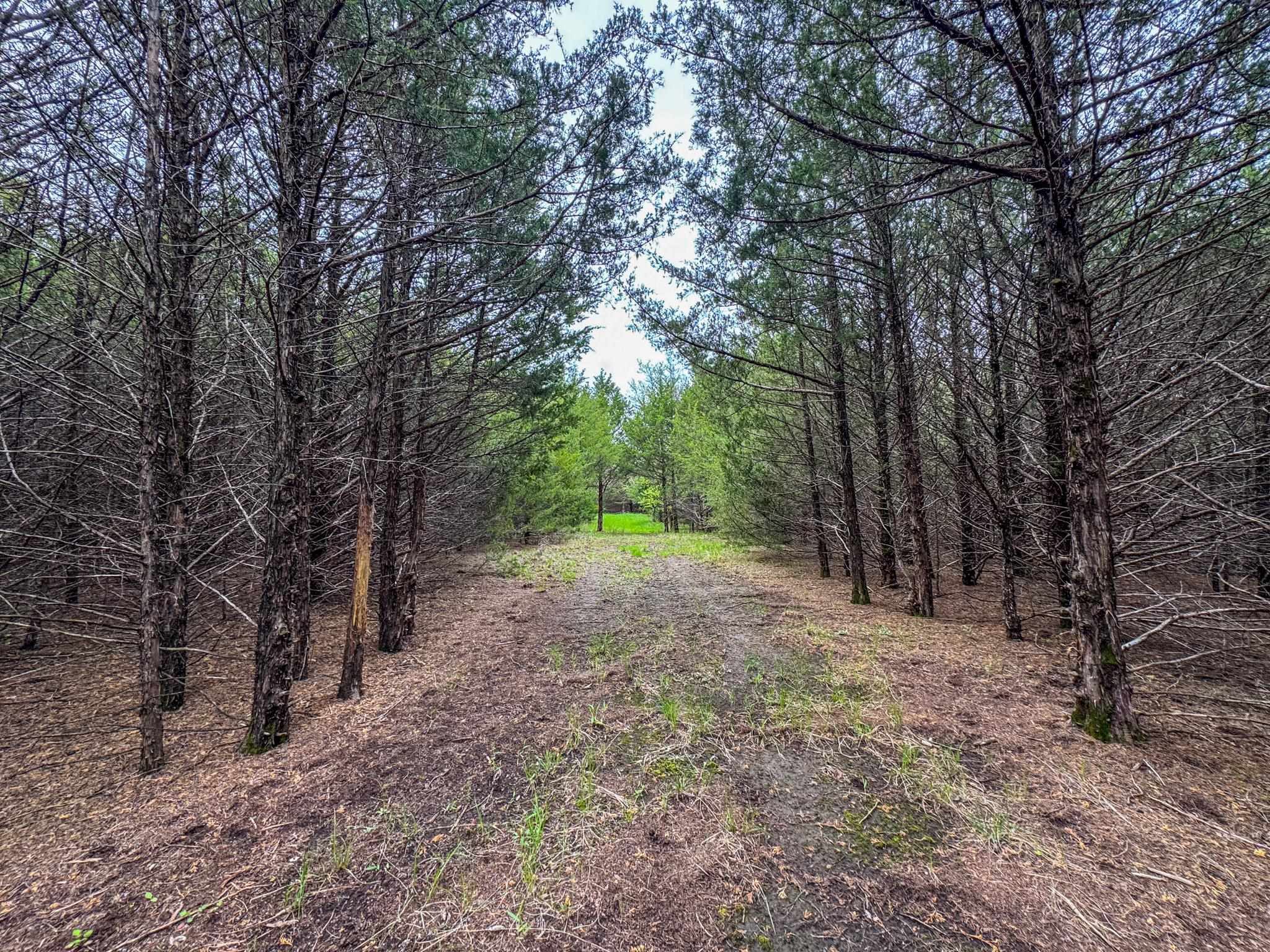 7802 S Harvest Hill Rd, Whitewater, Kansas image 10