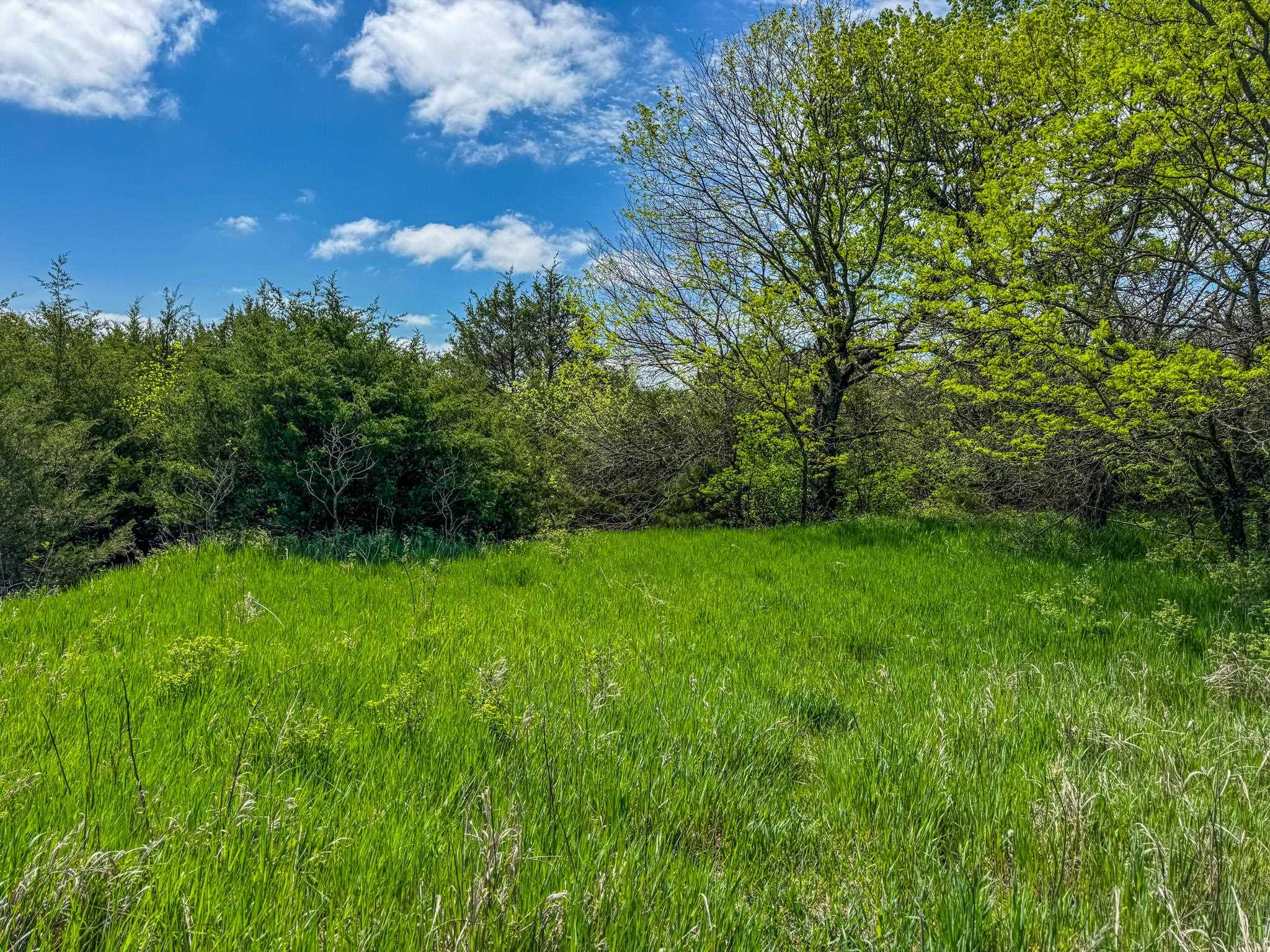 7802 S Harvest Hill Rd, Whitewater, Kansas image 12