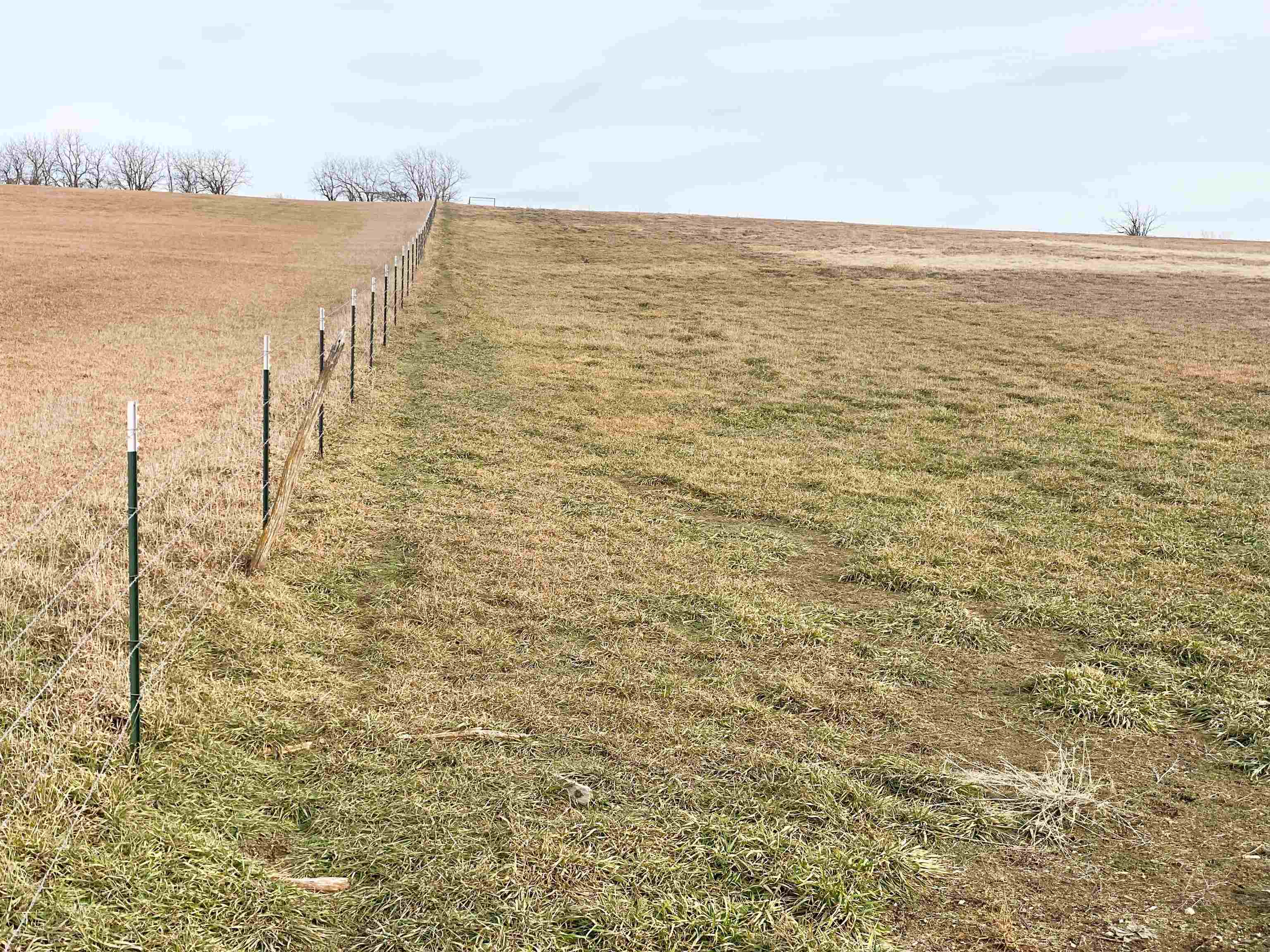 0000 27th Avenue, Roxbury, Kansas image 12