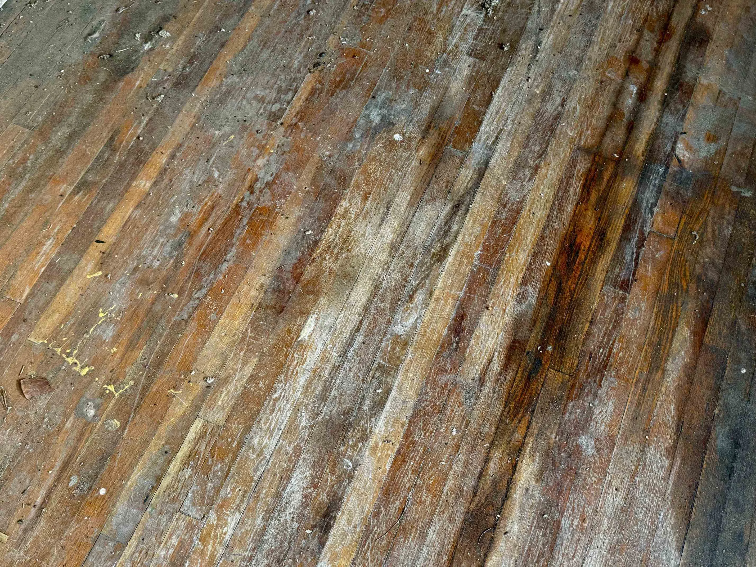 Belle Plaine, Kansas 67013, United States, ,Land,Active,210581