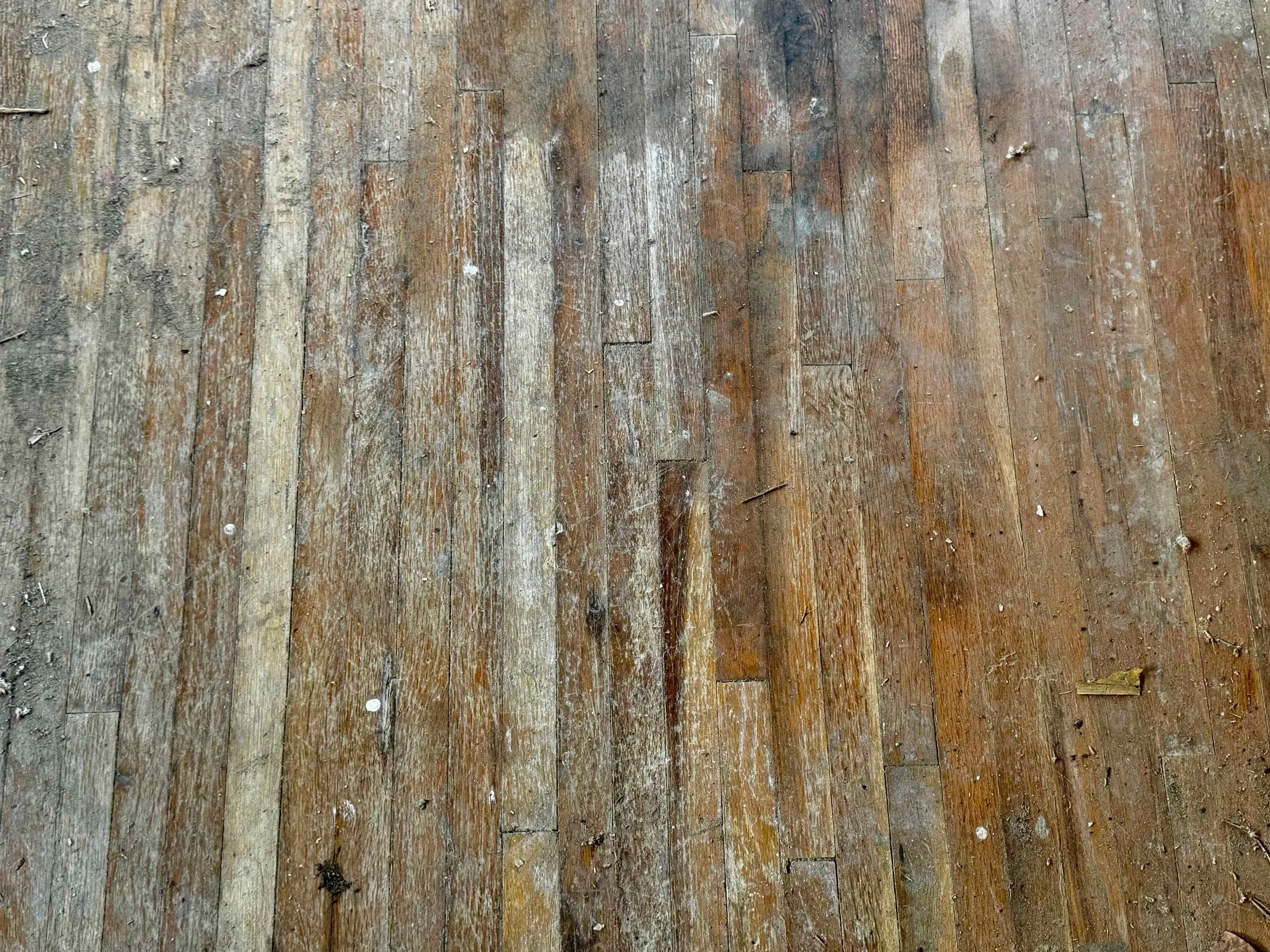 Belle Plaine, Kansas 67013, United States, ,Land,Active,210581