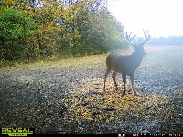 000 River Rd, Mulvane, Kansas image 19