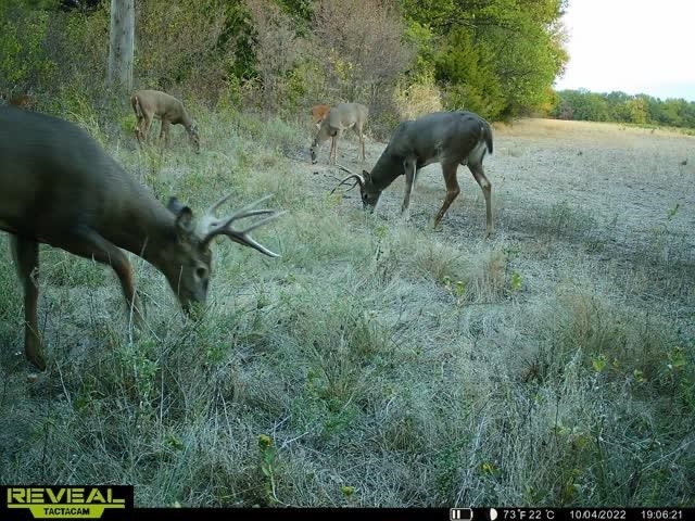 000 River Rd, Mulvane, Kansas image 22