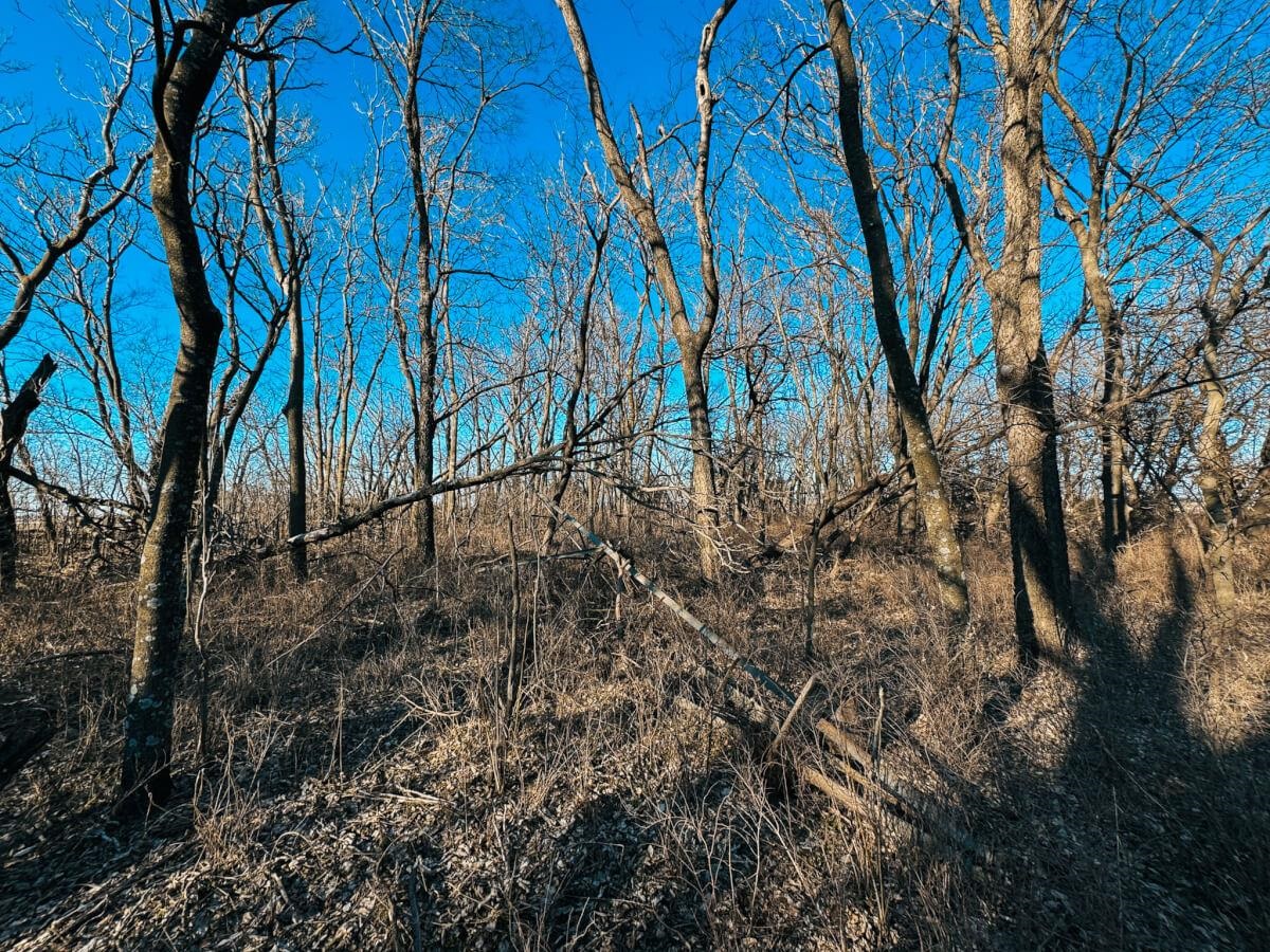 000 101st St N #TRACT 2 OF 2, Valley Center, Kansas image 8