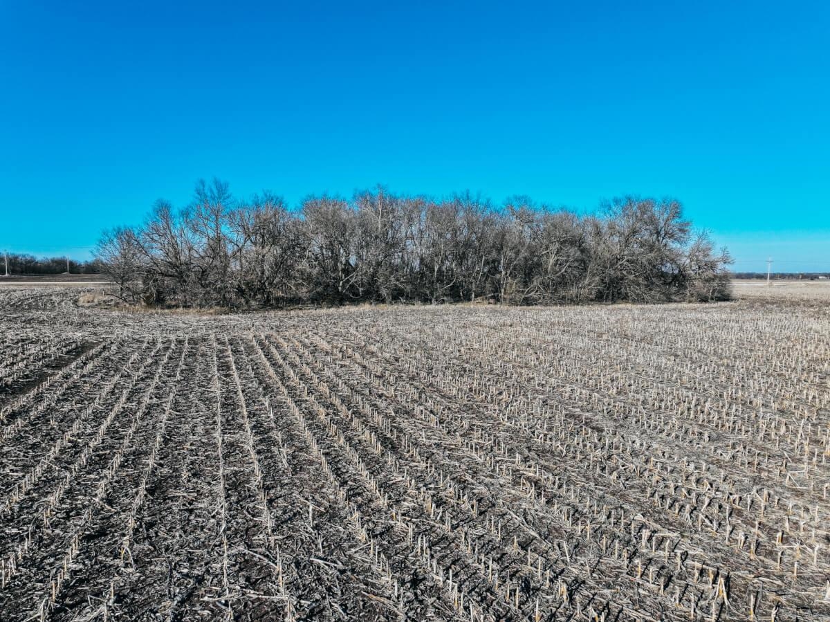 000 101st St N #TRACT 2 OF 2, Valley Center, Kansas image 7