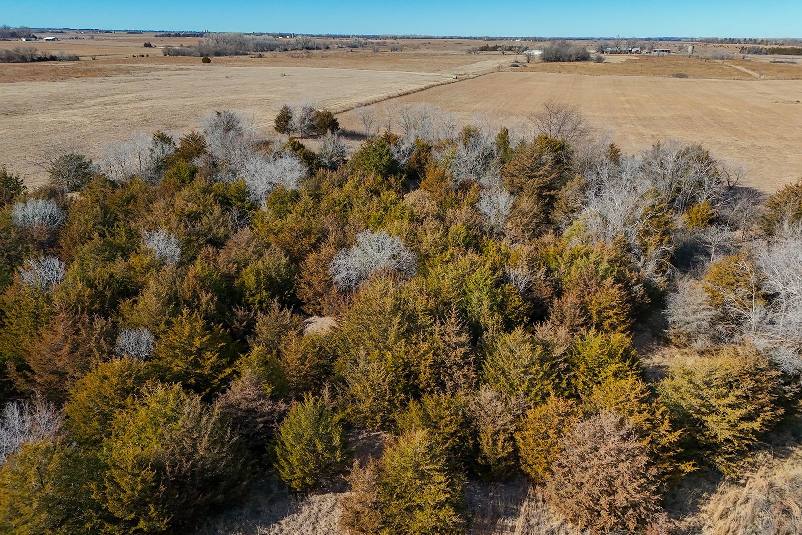 18+/-Acres On NW 10 Ave, Kingman, Kansas image 14