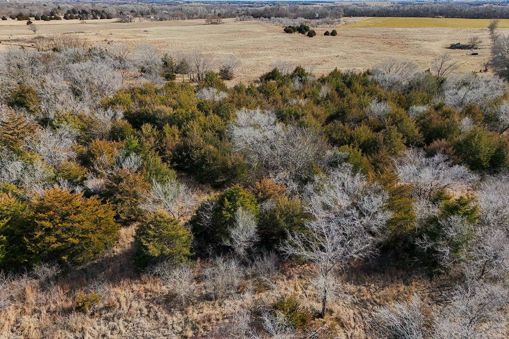 18+/-Acres On NW 10 Ave, Kingman, Kansas image 18