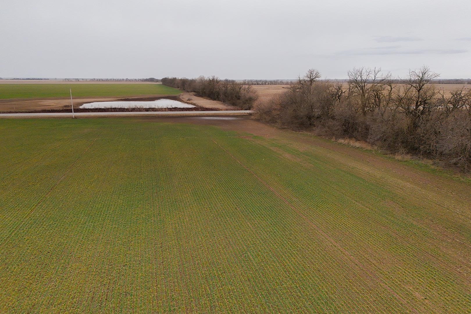 74+/- Acres 101st, Mount Hope, Kansas image 17