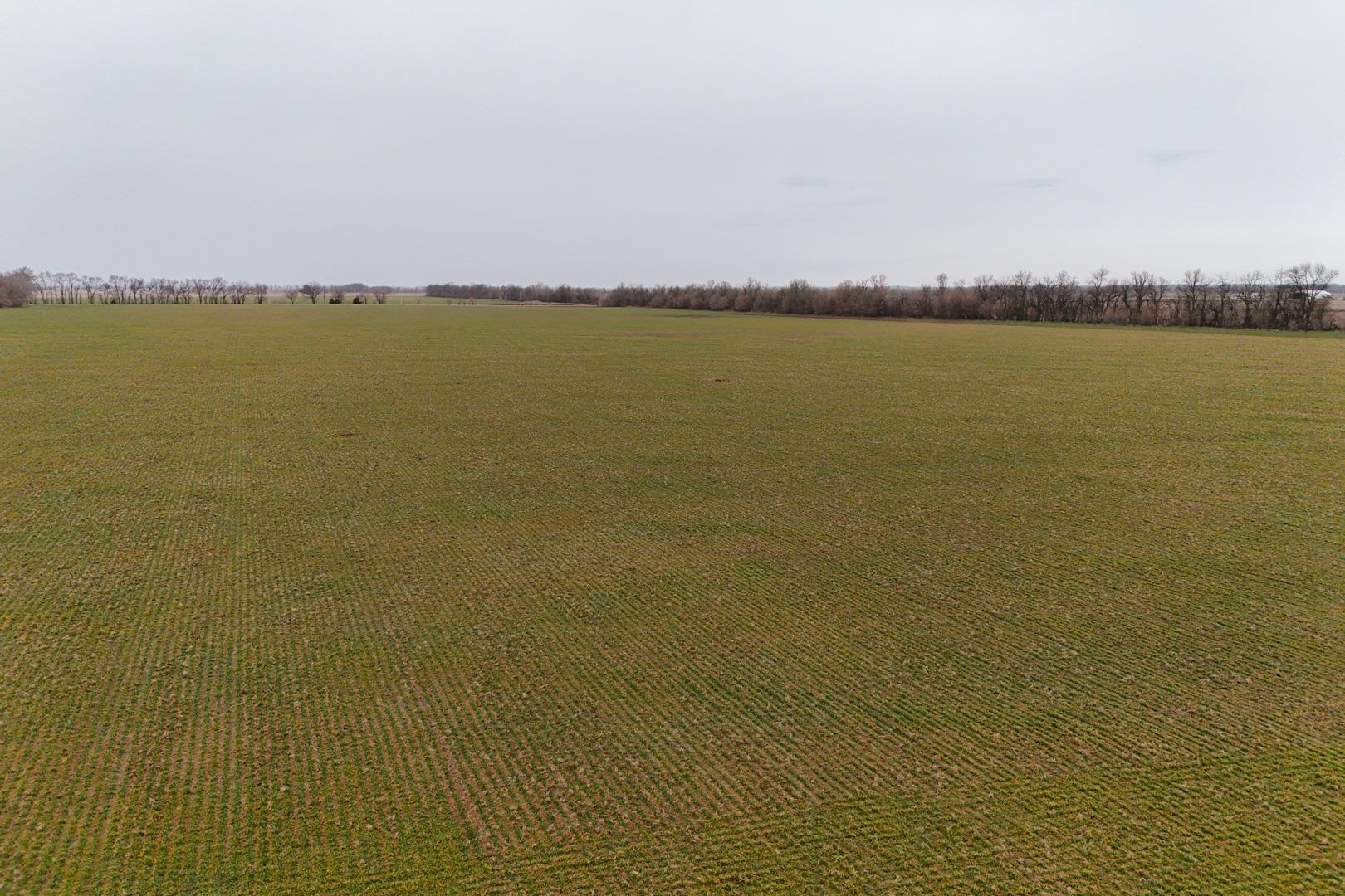 74+/- Acres 101st, Mount Hope, Kansas image 8